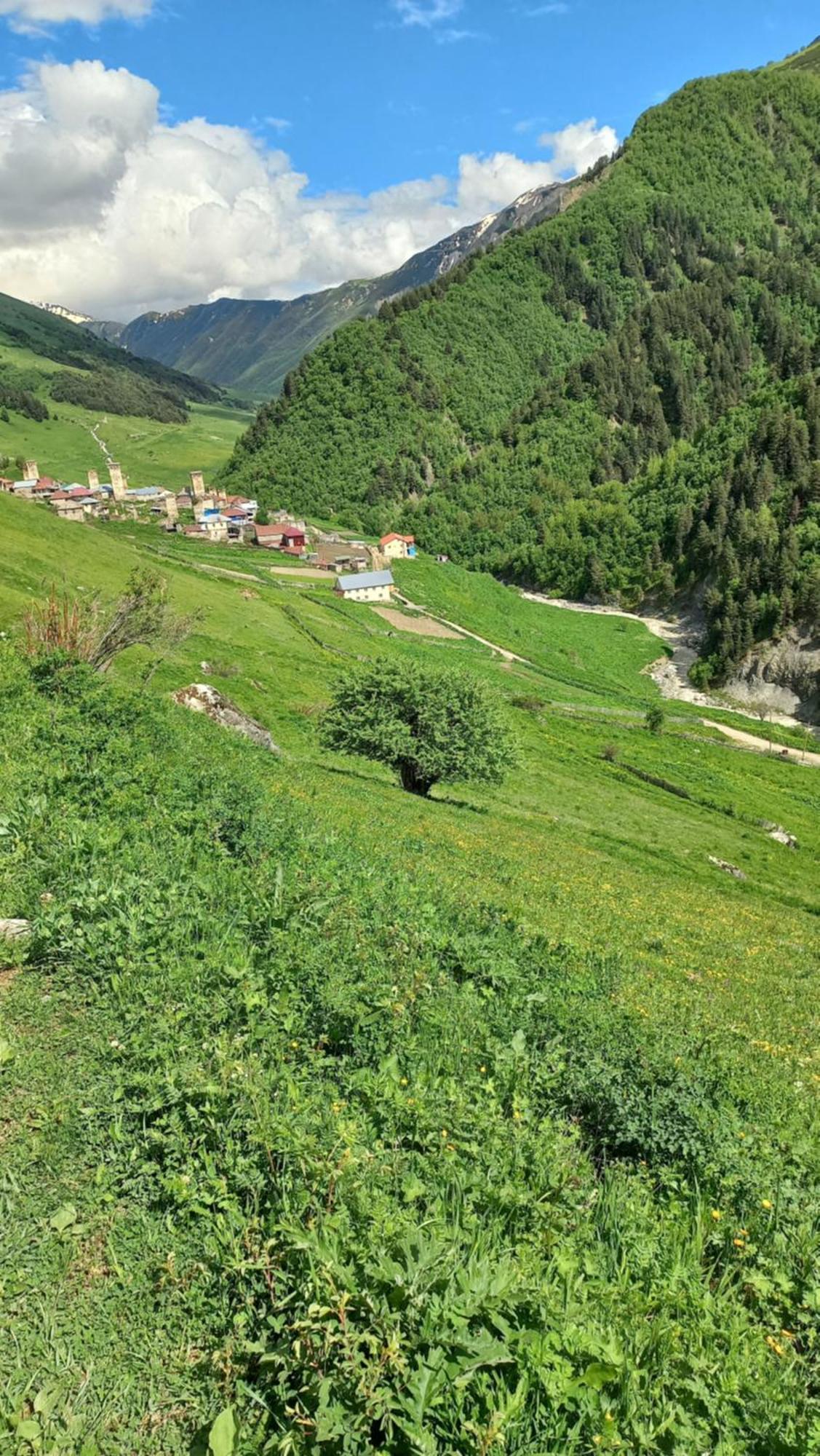 Guesthouse Ellie- Elisabeth Adishi Екстер'єр фото
